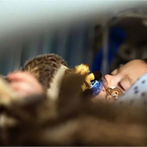 Acre entra em alerta por aumento de casos de síndrome respiratória grave, aponta Fiocruz