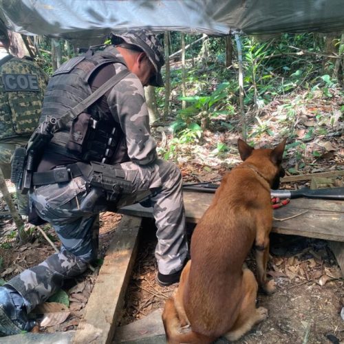 Polícia apreende espingarda calibre 12 durante operação na zona rural de Mâncio Lima