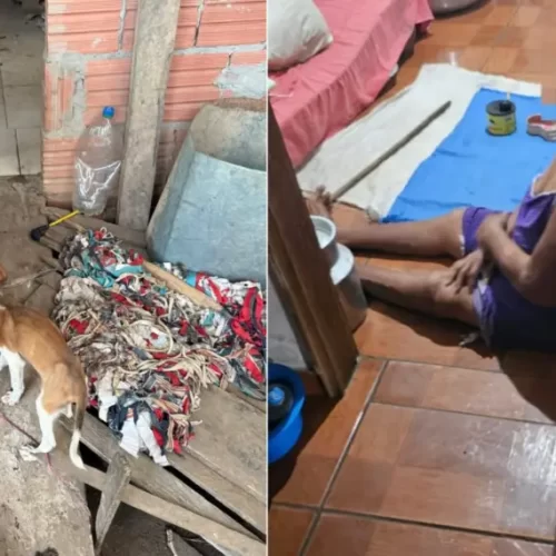 Cadela vítima de maus-tratos é resgatada no interior do Acre; idosa dona do animal vivia em situação de vulnerabilidade