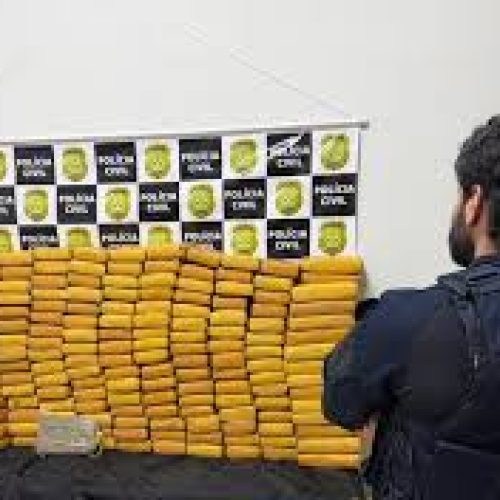 PRF e Polícia Civil apreendem 230 kg de skunk na BR-364