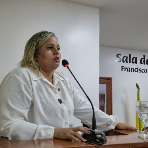 Secretária de Saúde Rúsie Lima presta contas das ações na Câmara Municipal de Mâncio Lima