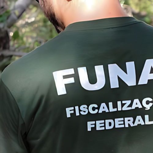 Funai publica editais com 3.638 vagas e salários de até R$ 6 mil
