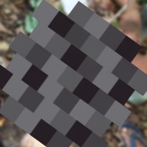 Corpo decapitado é encontrado em área de mata em Envira-AM, polícia investiga execução