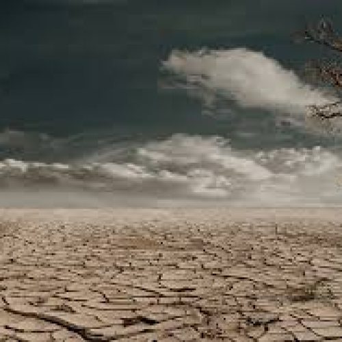 Crise climática pode provocar nova extinção em massa, diz pesquisador