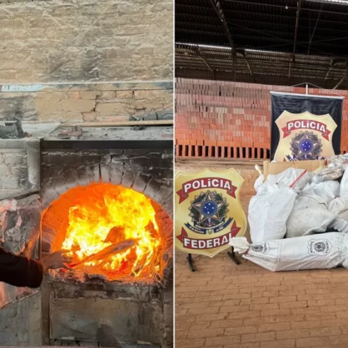 Polícia Federal incinera 400 kg de drogas apreendidas em ações contra o tráfico no Acre