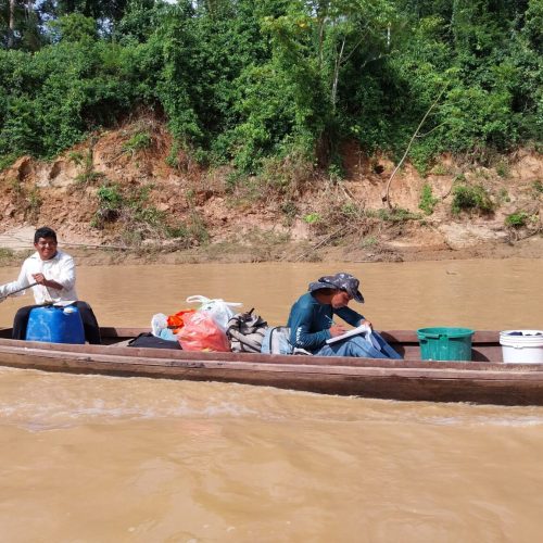 Indígenas monitoram isolados Mascho Piro no Acre e identificam mudanças inéditas de hábitos