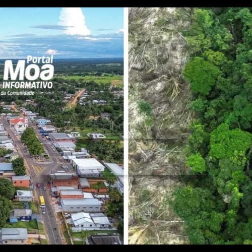 MPAC investiga desmatamento ilegal de mais de 54 hectares em Mâncio Lima
