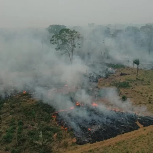 União deverá desapropriar terras alvos de desmatamento e queimadas ilegais no Acre, determina STF