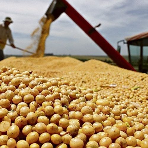 Carne bovina e soja dominam as exportações do Acre em 2025