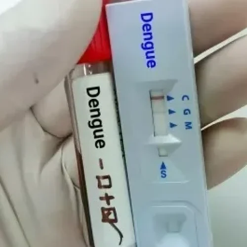 Acre investiga duas mortes por suspeita de dengue e registra 15 casos graves da doença em 2026