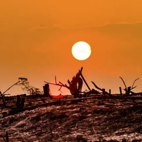 Um terço dos acreanos já sentiu os efeitos das mudanças climáticas, aponta pesquisa