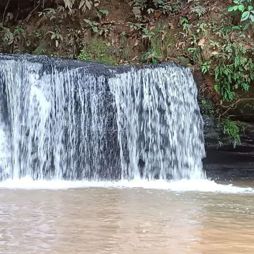 Turismo de base comunitária contribui para manutenção da floresta em pé no Acre